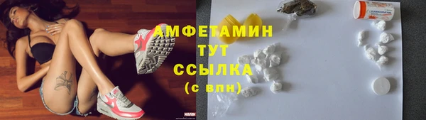 ГАЛЛЮЦИНОГЕННЫЕ ГРИБЫ Сясьстрой
