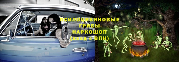 mdpv Медвежьегорск