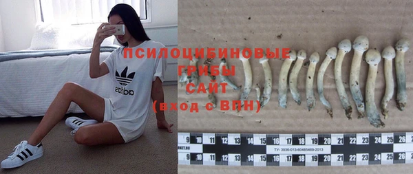 дурь Мегион
