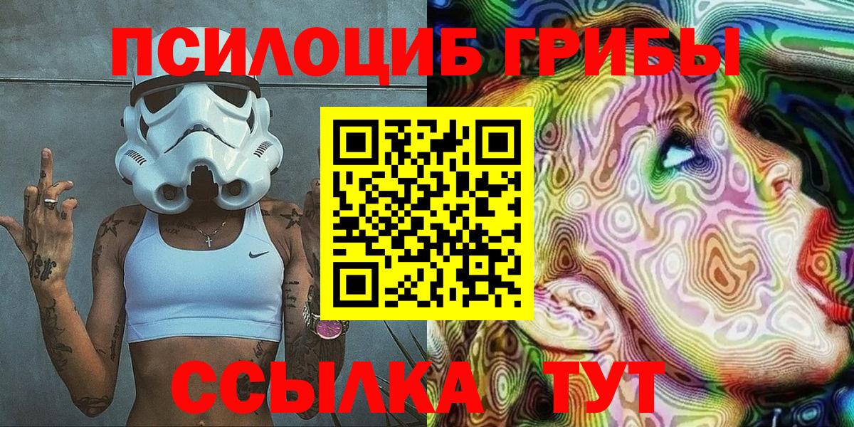 Псилоцибиновые грибы Cubensis  Липецк  где продают   Галлюциногенные грибы GOLDEN TEACHER 