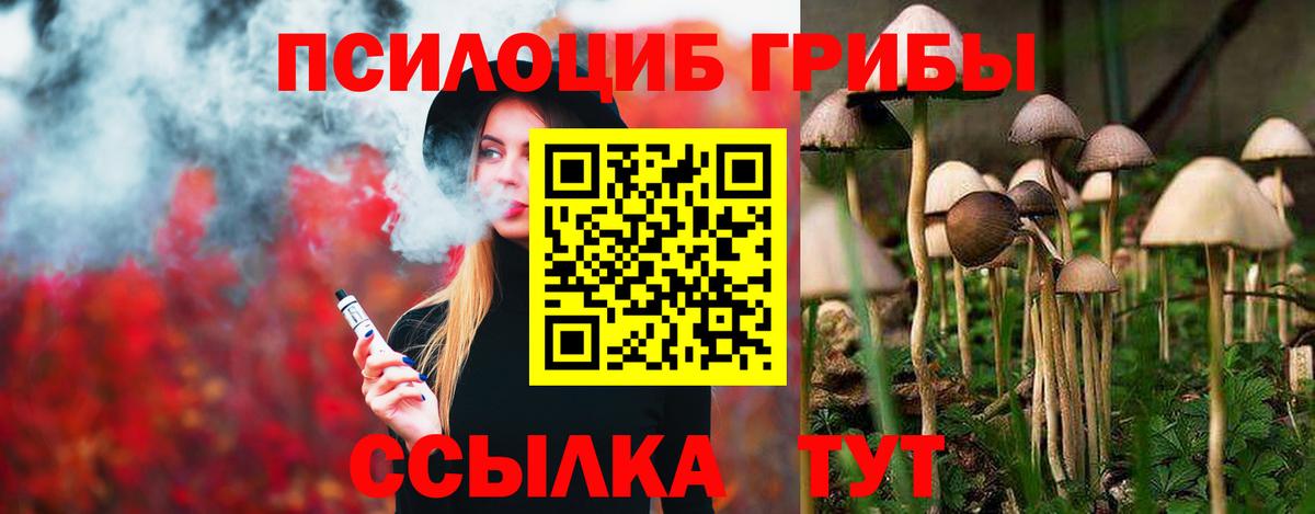 Липецк  Псилоцибиновые грибы мухоморы  где купить   Галлюциногенные грибы мицелий  Вход с VPN 